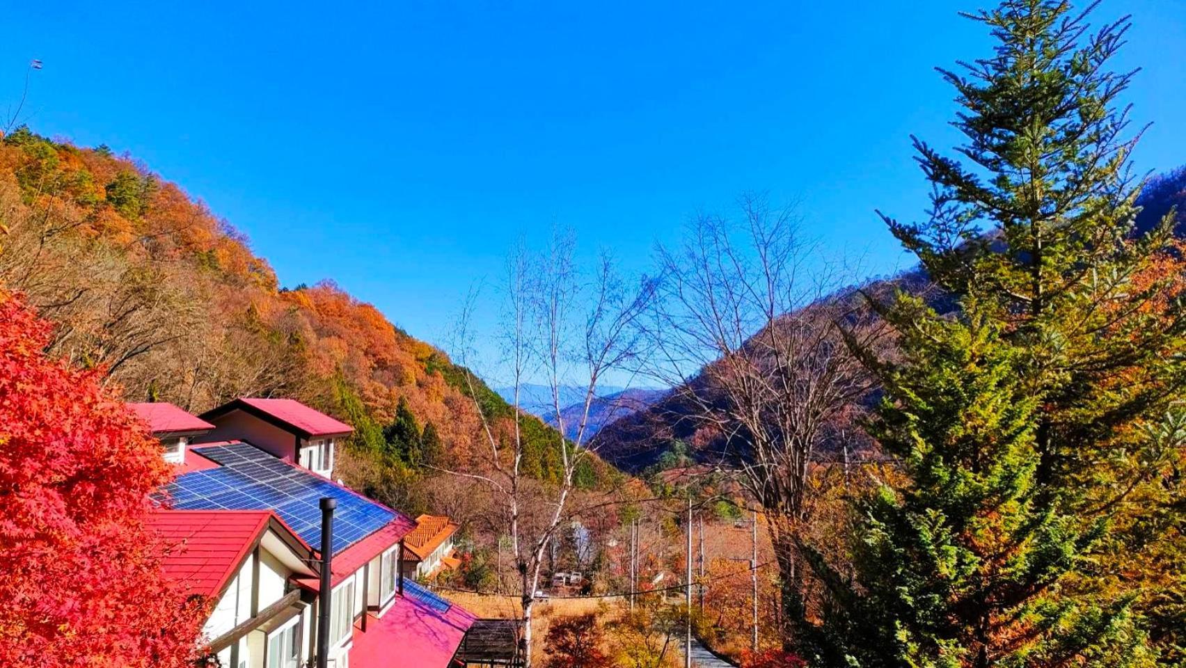 索拉的诗住宿加早餐旅馆 南阿尔卑斯市 外观 照片